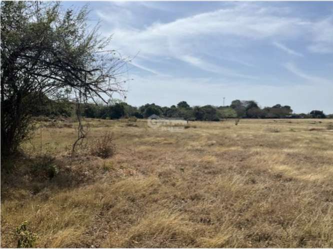 LAS TABLAS / FINCA / 3 HECTAREAS / POZO DE AGUA / FACIL ACCESO - Imagen 18