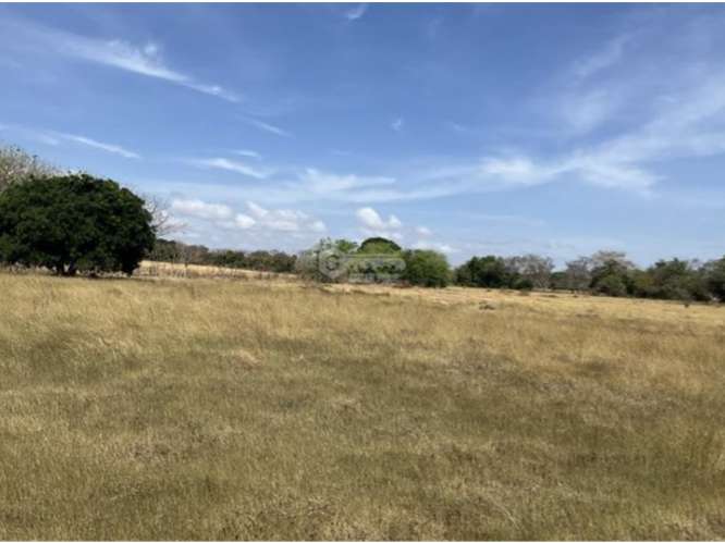 LAS TABLAS / FINCA / 3 HECTAREAS / POZO DE AGUA / FACIL ACCESO - Imagen 14