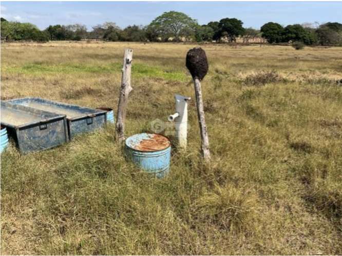 LAS TABLAS / FINCA / 3 HECTAREAS / POZO DE AGUA / FACIL ACCESO - Imagen 11