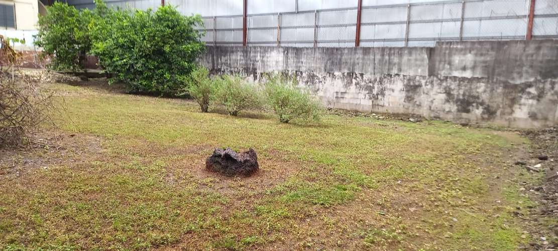 Rio Abajo. 800mts ideal para galera o negocio $475,000.00  - Imagen 8