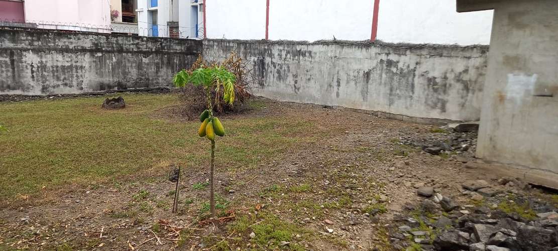 Rio Abajo. 800mts ideal para galera o negocio $475,000.00  - Imagen 7