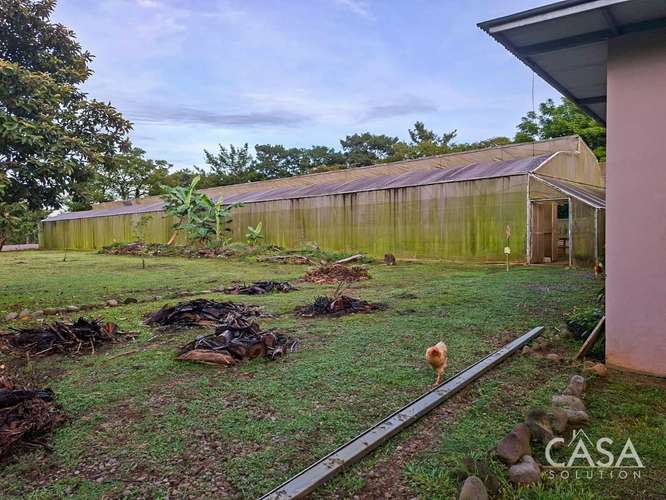 Casa Frente al Río con Invernadero en Venta en Dos Ríos, Dolega - Imagen 2