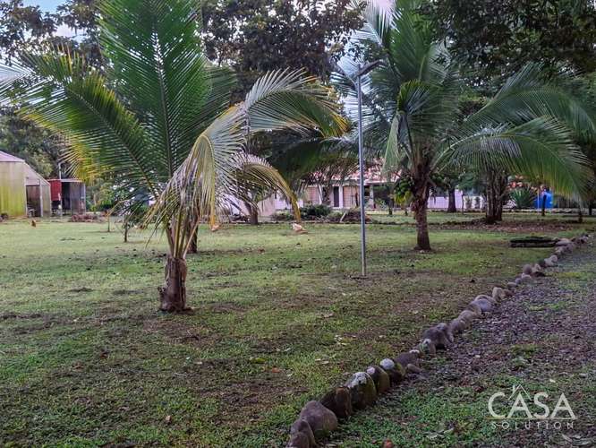 Casa Frente al Río con Invernadero en Venta en Dos Ríos, Dolega - Imagen 3