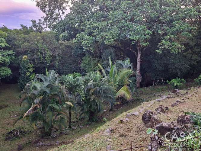 Casa Frente al Río con Invernadero en Venta en Dos Ríos, Dolega - Imagen 4