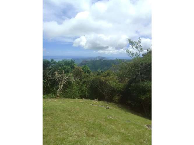 SE VENDE TERRENO 5467 M2 EN CAPIRA CAMPANA CON HERMOSAS VISTAS - Imagen 14