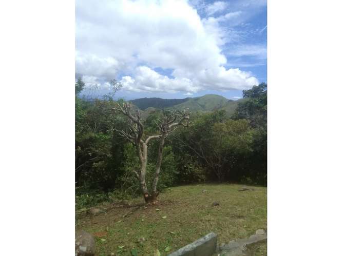 SE VENDE TERRENO 5467 M2 EN CAPIRA CAMPANA CON HERMOSAS VISTAS - Imagen 15