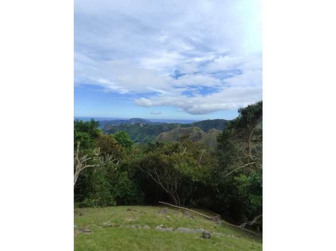 SE VENDE TERRENO 5467 M2 EN CAPIRA CAMPANA CON HERMOSAS VISTAS - Imagen 3