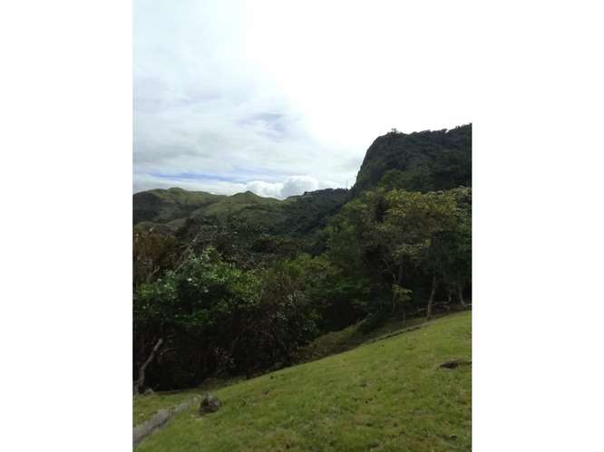 SE VENDE TERRENO 5467 M2 EN CAPIRA CAMPANA CON HERMOSAS VISTAS - Imagen 4