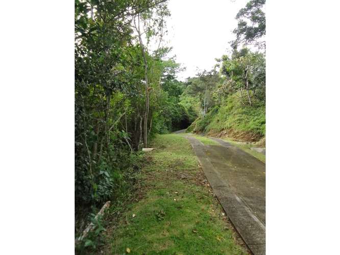 SE VENDE TERRENO 5467 M2 EN CAPIRA CAMPANA CON HERMOSAS VISTAS - Imagen 10