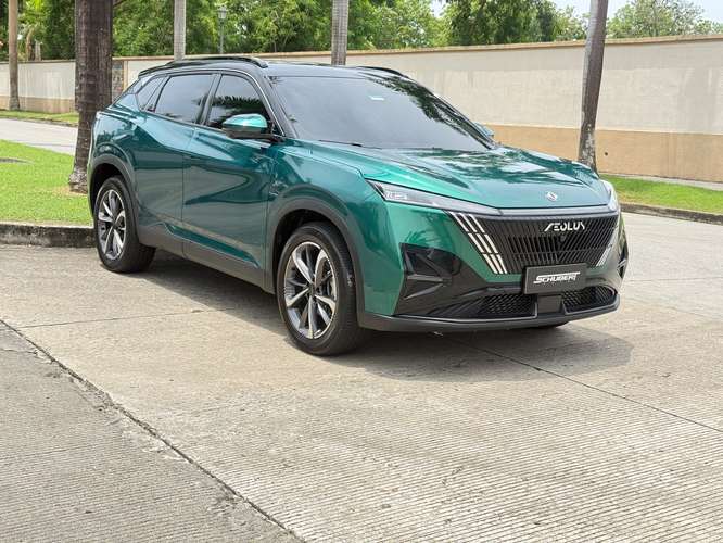 Dongfeng Mage 2025 Full Extras a solo $15,900