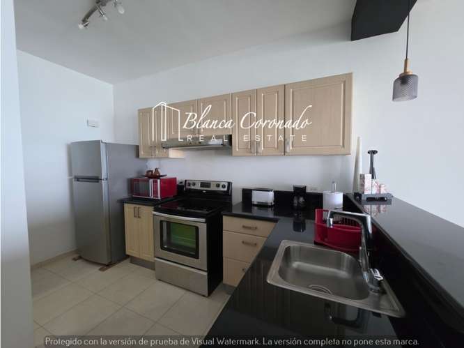 Apartamento Amoblado en Alquiler en Avenida Balboa | PH Vista del Mar - Imagen 7