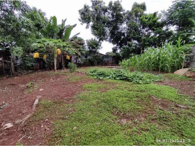 SE VENDE CASA 416 M2 EN CHORRERA MARTIN SANCHEZ  CON FACIL ACCESO - Imagen 18