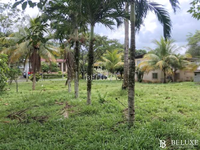 VENTA DE TERRENO EN CLAYTON (4) - Imagen 9