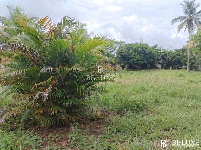 VENTA DE TERRENO EN CLAYTON (4) - Imagen 4