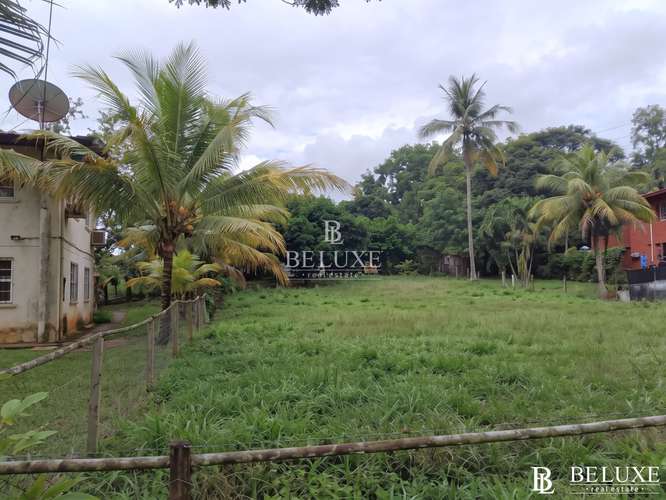VENTA DE TERRENO EN CLAYTON (4) - Imagen 2