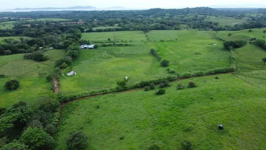 Se vende finca agropecuaria en Santiago de Veraguas