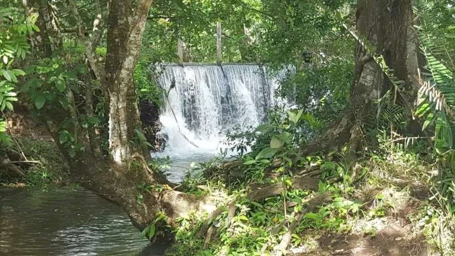 Se vende finca agropecuaria en Santiago de Veraguas