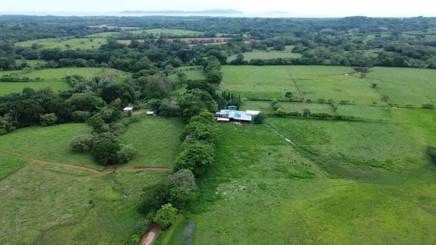 Se vende finca agropecuaria en Santiago de Veraguas