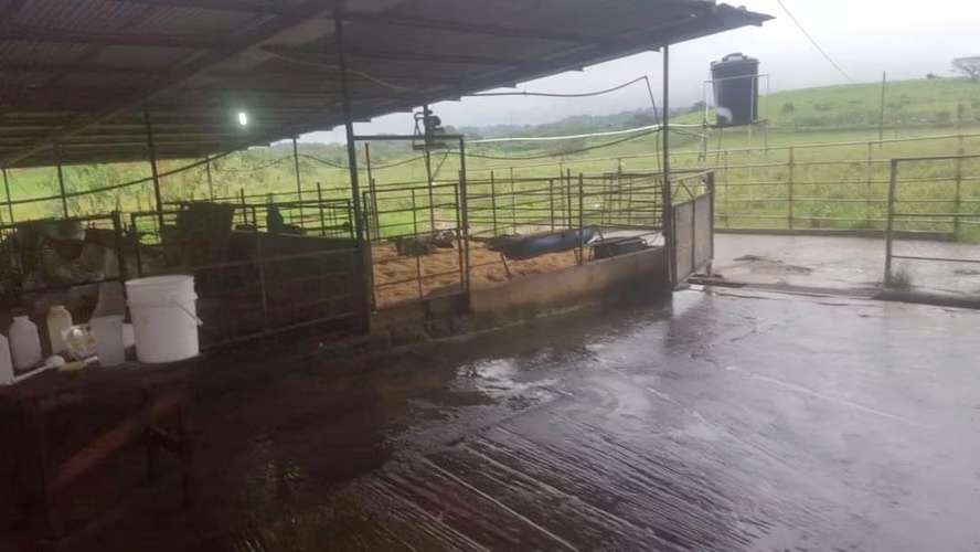 Se vende finca agropecuaria en Santiago de Veraguas