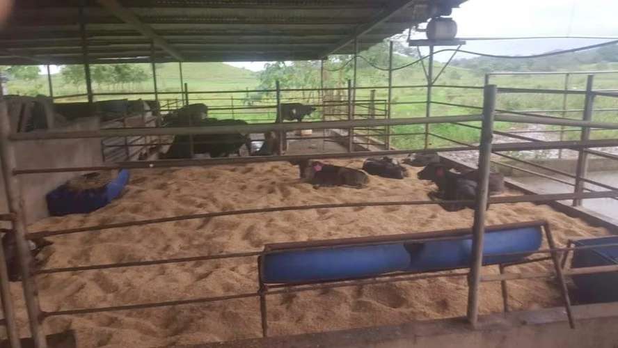 Se vende finca agropecuaria en Santiago de Veraguas