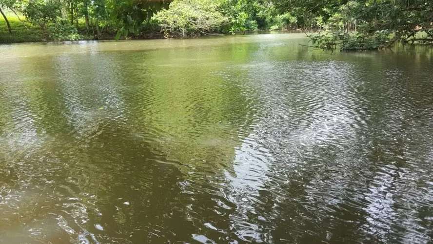 Se vende finca agropecuaria en Santiago de Veraguas