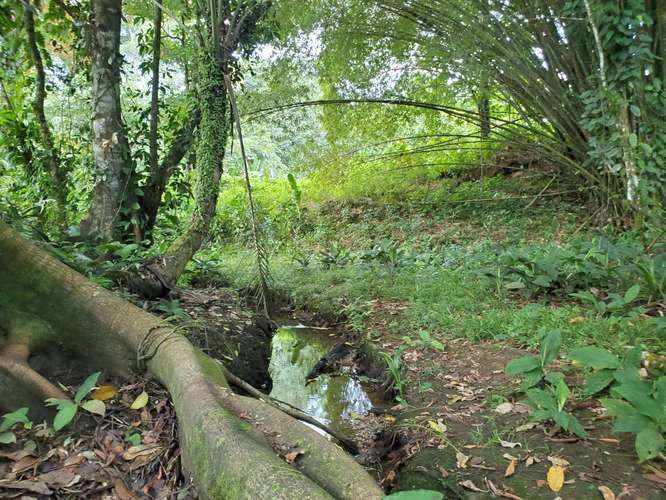 VENTA TERRENO EN BOCAS DEL TORO