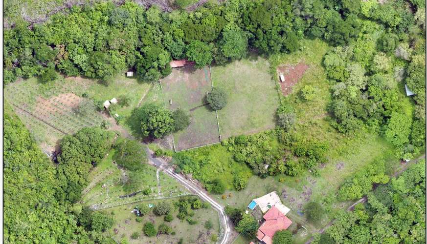 SE VENDE FINCA PRODUCTORA DE PITAHAYA EN PANAMÁ | 2 HA TITULADAS CERCA DE CORONADO - RM - Imagen 2