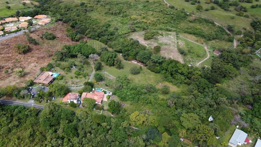 SE VENDE FINCA PRODUCTORA DE PITAHAYA EN PANAMÁ | 2 HA TITULADAS CERCA DE CORONADO - RM - Imagen 7