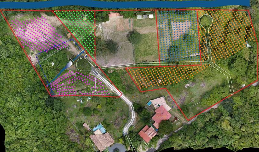 SE VENDE FINCA PRODUCTORA DE PITAHAYA EN PANAMÁ | 2 HA TITULADAS CERCA DE CORONADO - RM - Imagen 3