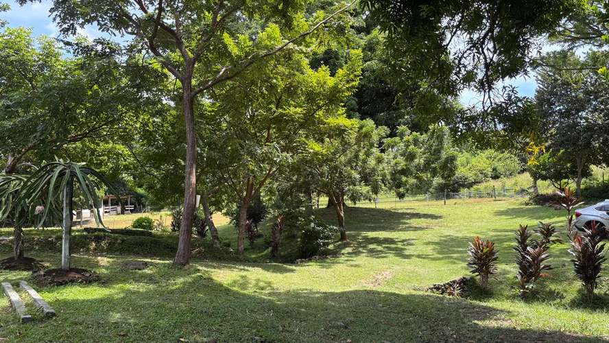 SE VENDE FINCA PRODUCTORA DE PITAHAYA EN PANAMÁ | 2 HA TITULADAS CERCA DE CORONADO - RM - Imagen 9