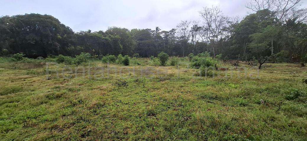 VENTA DE TERRENO EN LIDICE 26ML4859 - Imagen 11