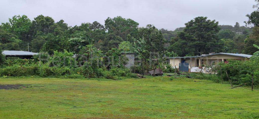 VENTA DE TERRENO EN LIDICE 26ML4859 - Imagen 13