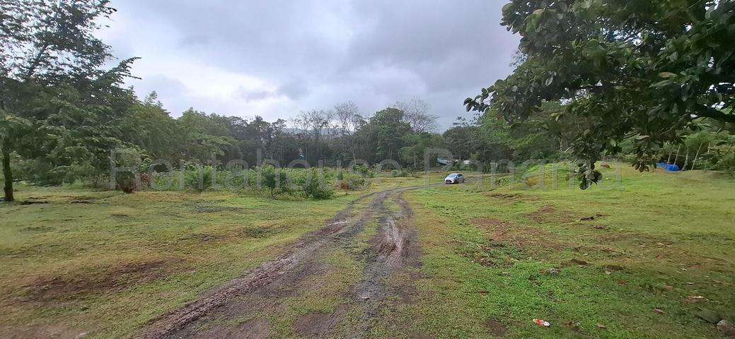 VENTA DE TERRENO EN LIDICE 26ML4859