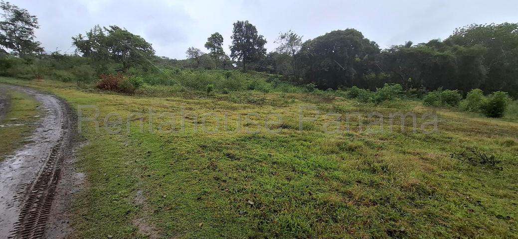VENTA DE TERRENO EN LIDICE 26ML4859 - Imagen 12