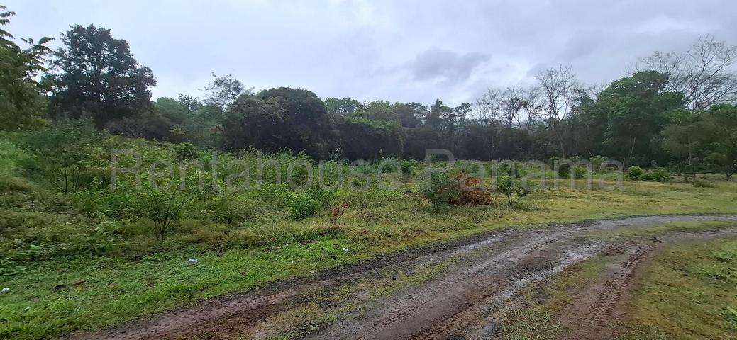 VENTA DE TERRENO EN LIDICE 26ML4859 - Imagen 9