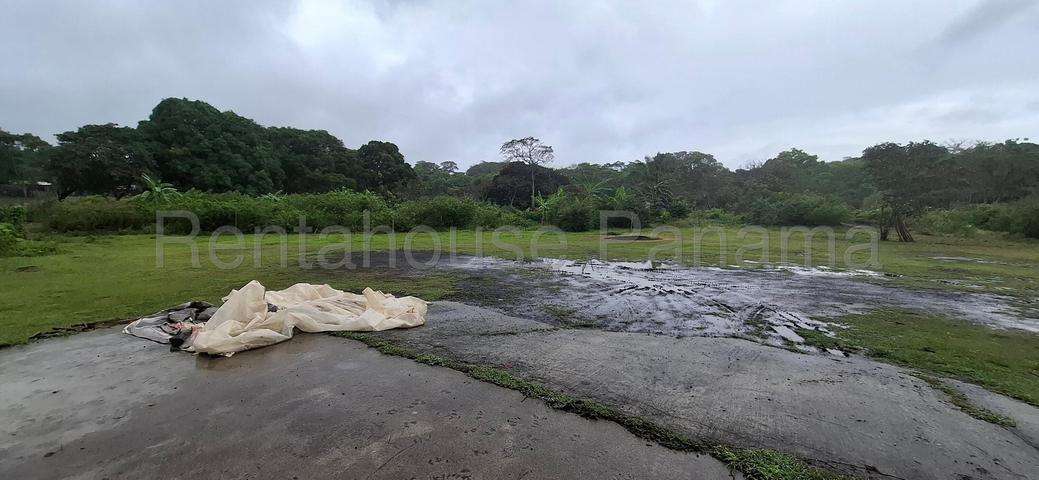 VENTA DE TERRENO EN LIDICE 26ML4859 - Imagen 8
