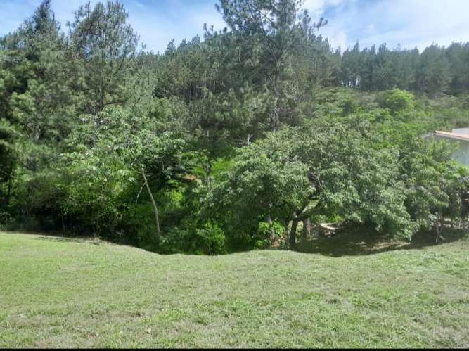 Terreno a Excelente Precio en Altos del María – 1,017 m² en Granada - Imagen 8