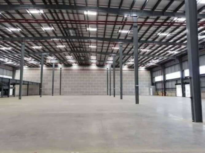 Alquiler de Bodega Zona Franca (Panamá Pacífico)  - Imagen 9