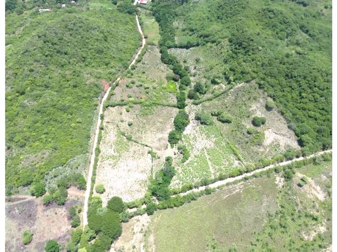 Terreno 8.96 ha El Otoal, Natá - Imagen 4