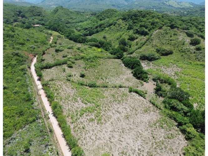 Terreno 8.96 ha El Otoal, Natá - Imagen 7