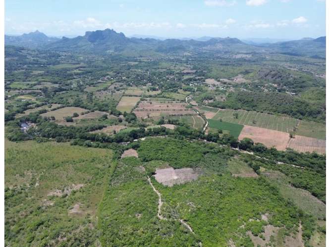 Terreno 8.96 ha El Otoal, Natá - Imagen 9