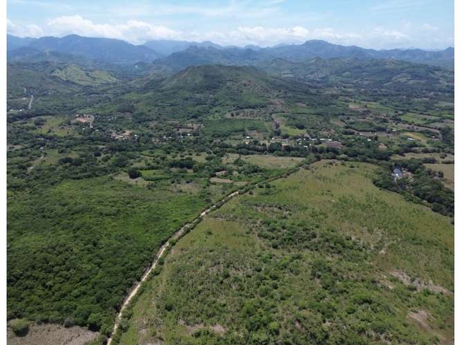 Terreno 8.96 ha El Otoal, Natá - Imagen 8