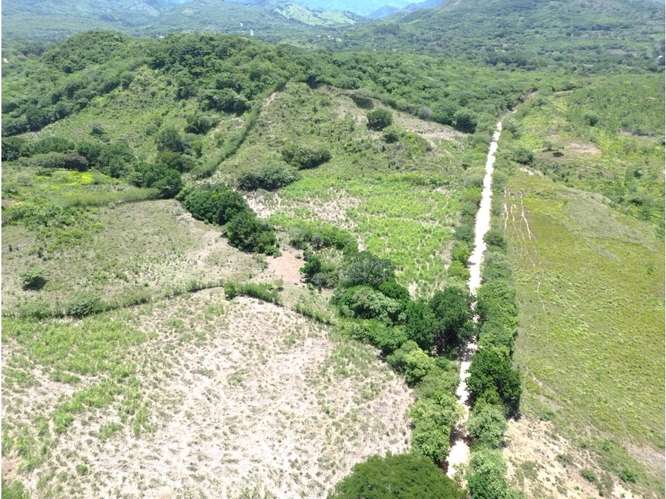 Terreno 8.96 ha El Otoal, Natá - Imagen 6