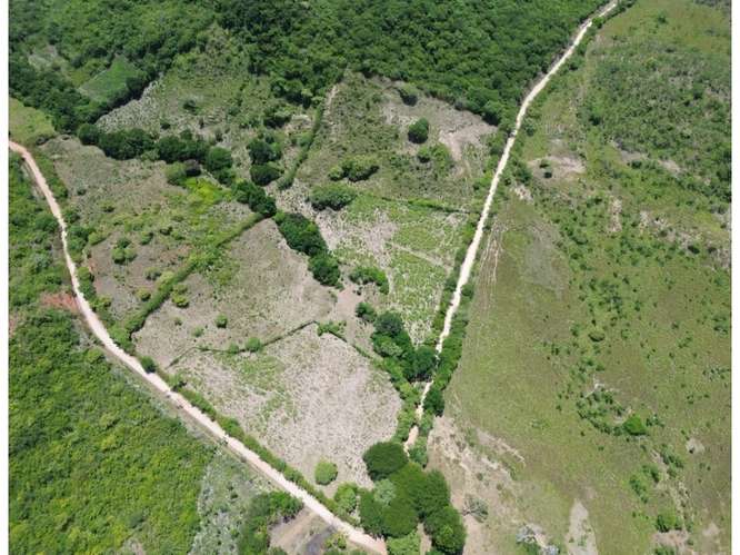 Terreno 8.96 ha El Otoal, Natá - Imagen 5