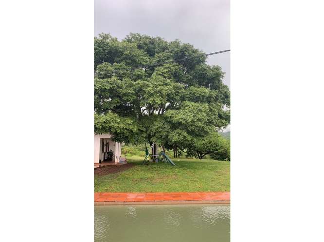 Granja productiva 13.6 ha Río Grande, Natá - Imagen 17