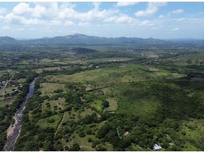 Granja productiva 13.6 ha Río Grande, Natá - Imagen 6