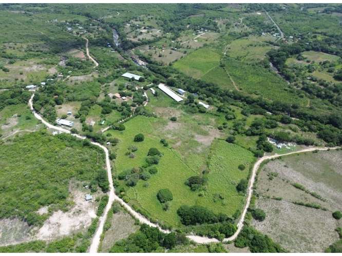 Granja productiva 13.6 ha Río Grande, Natá - Imagen 4