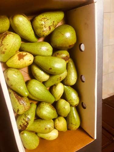 Se Vende hermosa Finca Agropecuaria en Palo Verde de Cañazas