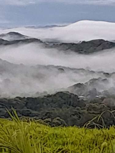Se Vende hermosa Finca Agropecuaria en Palo Verde de Cañazas