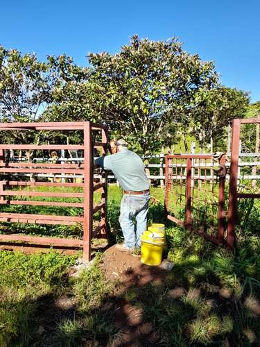 Se Vende hermosa Finca Agropecuaria en Palo Verde de Cañazas